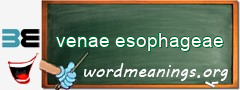 WordMeaning blackboard for venae esophageae